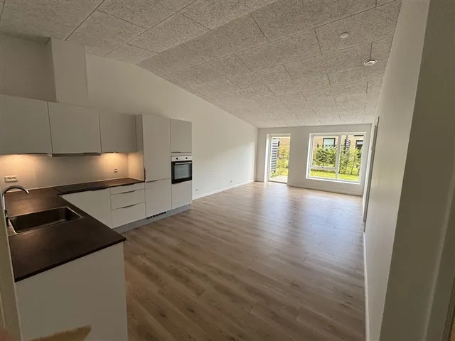 Cuisine - Contemporary Apartment with Balcony in Kolding