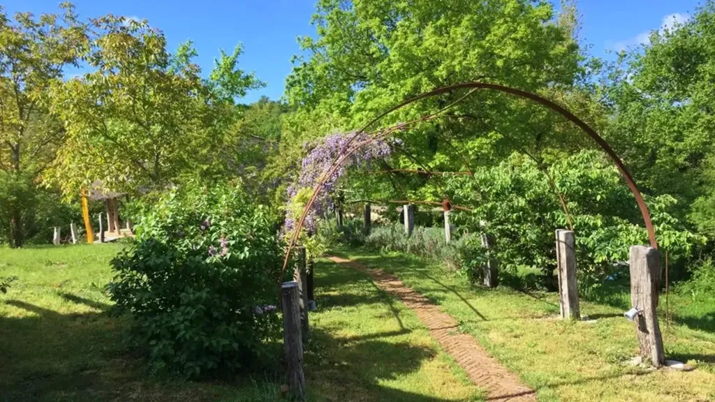 garden