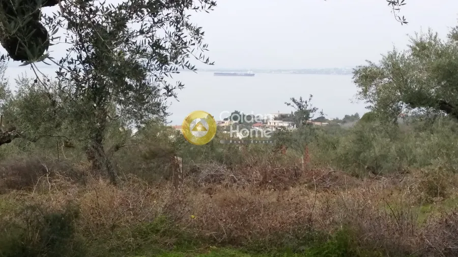 Aed - Plot with Sea View in Avia - Akrogiali