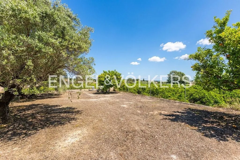 Aed - Equestrian Estate with Pool in Enguera