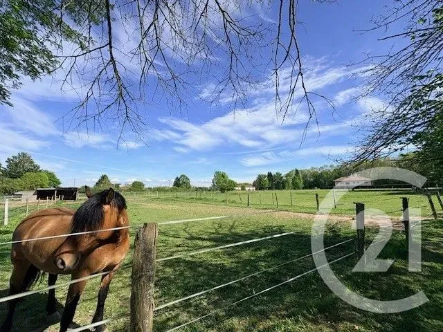 Jardin - Maison avec Deux Plans d'Eau à Domptier-sur-Veyle