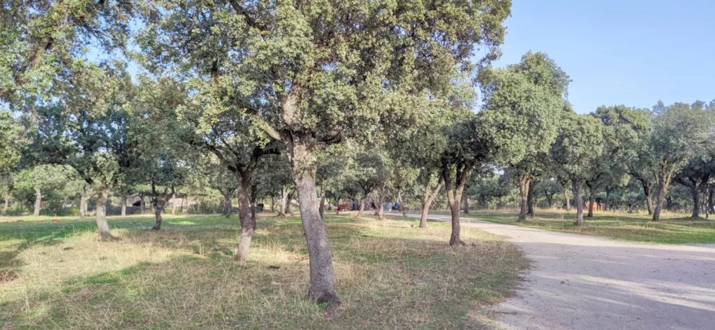 Rustic Plot with Views in Galapagar