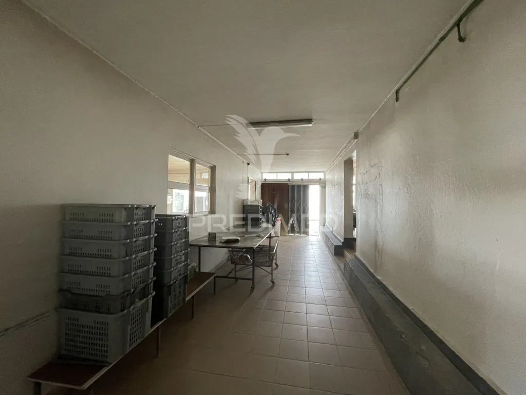 Entrée - Industrial Unit with Bakery in Urzelina