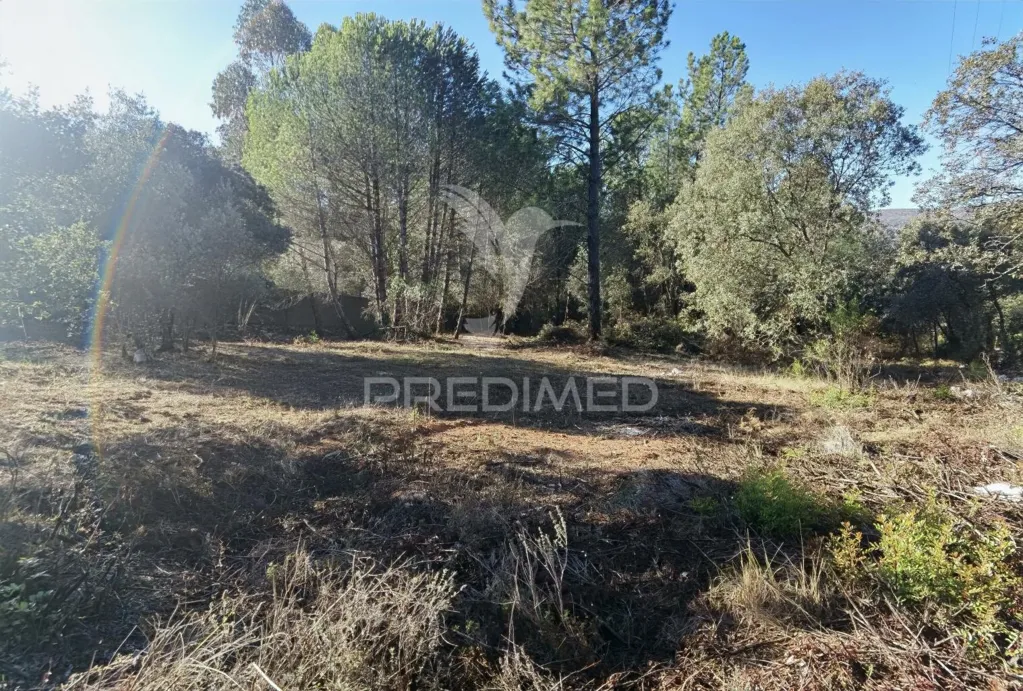 Aed - Urban Plot with Field View in Minde / Alcanena