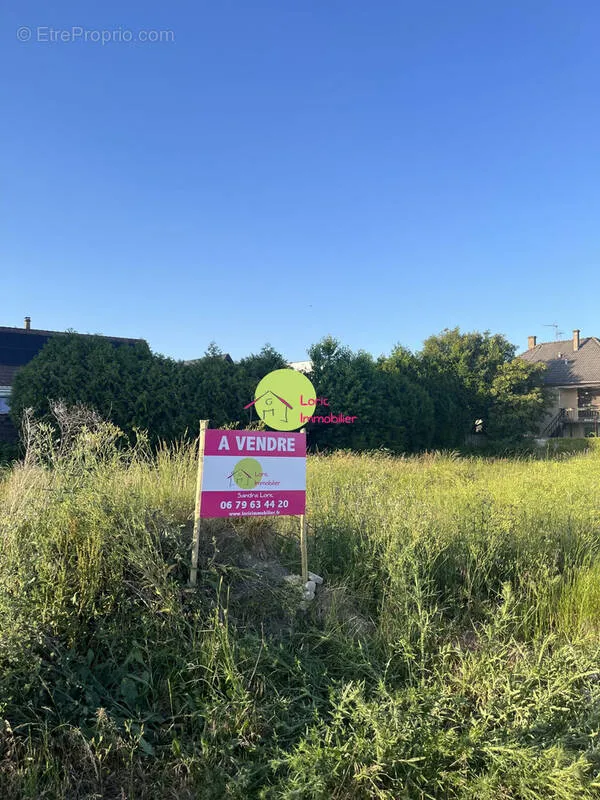 Garden - Building Land with South/West Orientation in Eschau