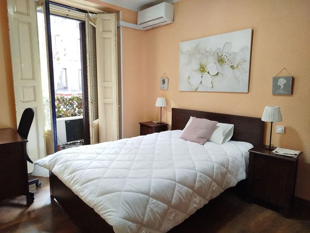 Magamistoad - 7-Bedroom Flat with Terrace in Madrid Centre