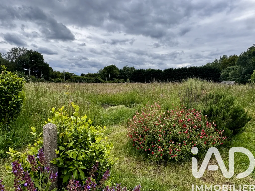 Aed - House with Large Garden in Les Ponts-de-Cé