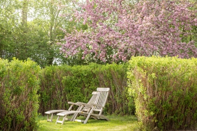 Jardin - Equestrian Facility with Pool in Helsingborg