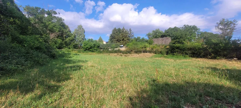 Jardin - Terrain à Bâtir Plat à Coyac près du Puy-en-Velay