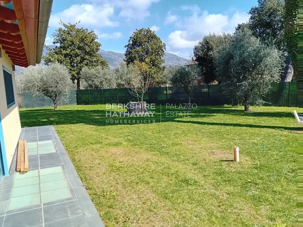 Jardin - Modern Villa with Pool in Pietrasanta