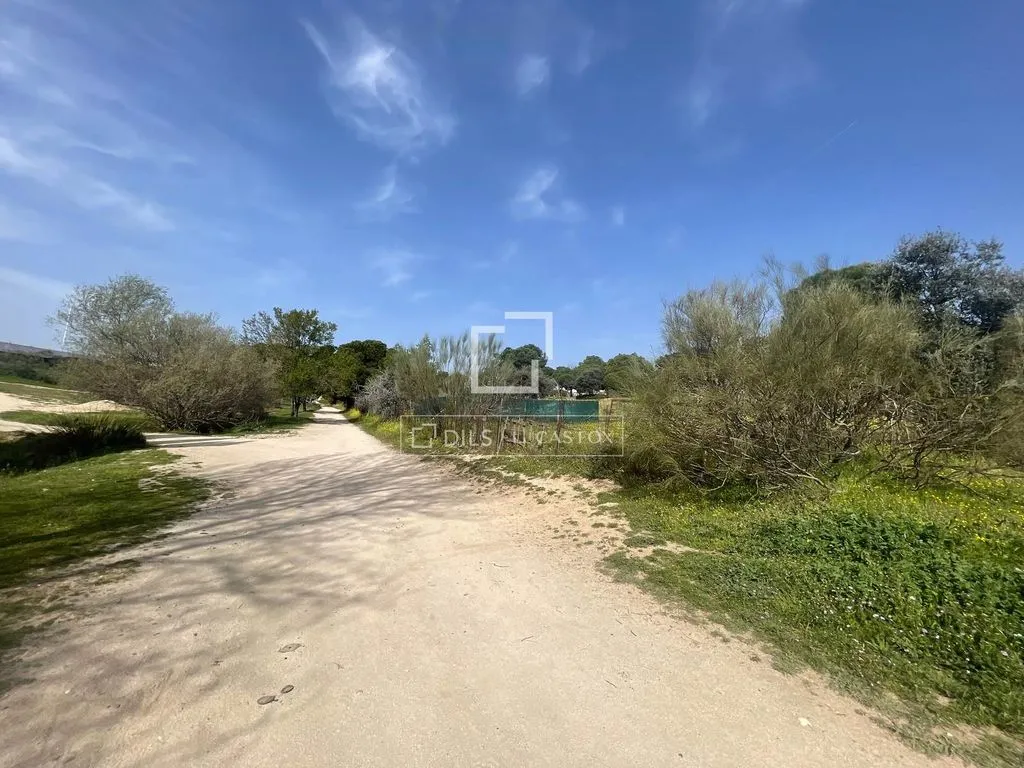 Jardin - Plot with Garden in Majadahonda