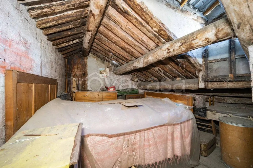 Toad - Attico with Terrace in Cuneo