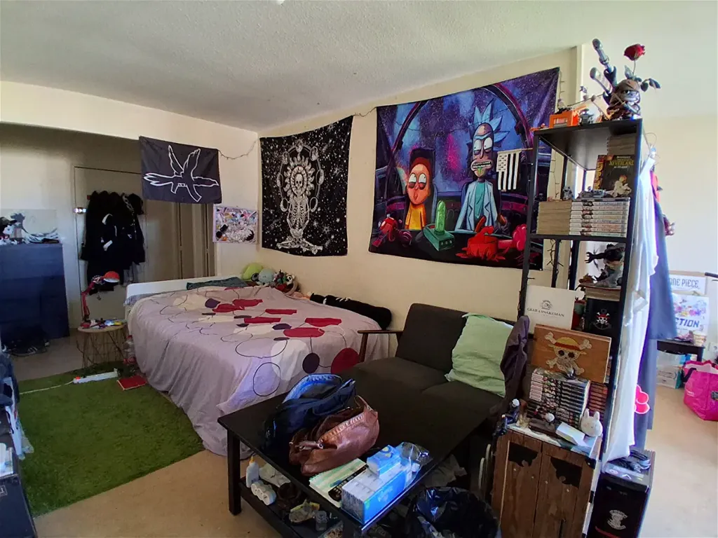 Magamistoad - 1-Bedroom Apartment with Garage in Saint-Étienne