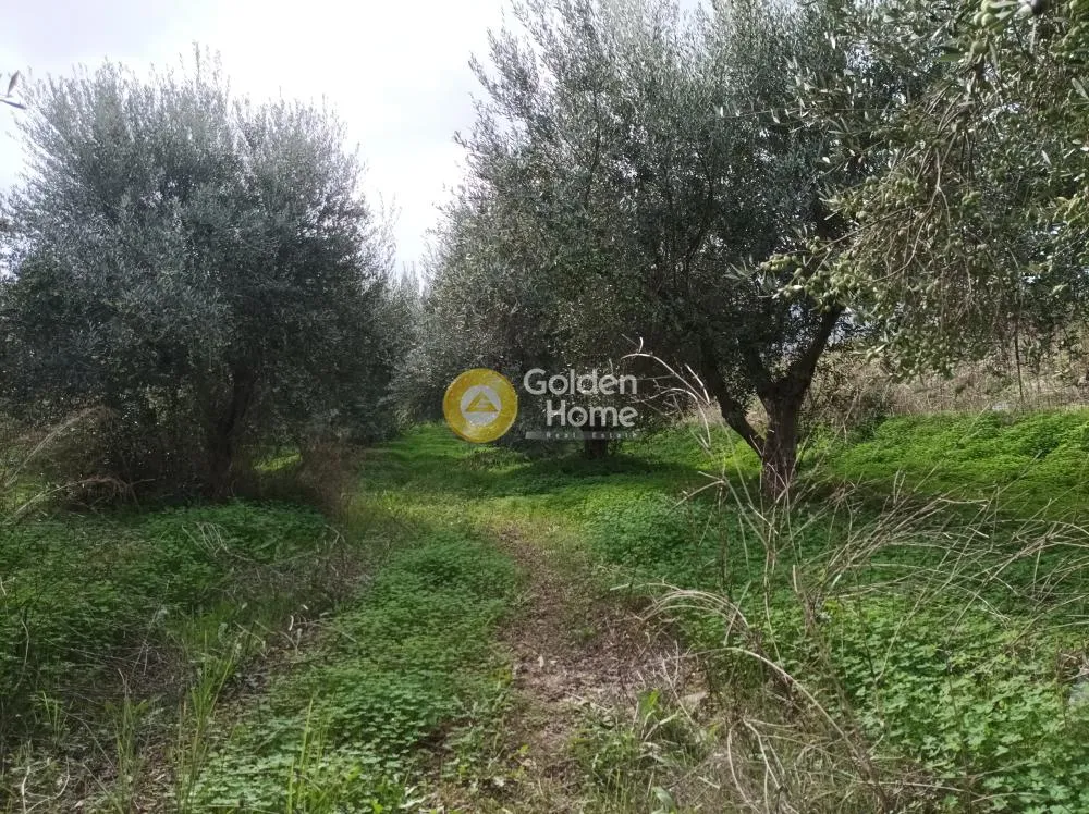 Aed - Buildable Plot with Sea View in Aprovouna, Chania