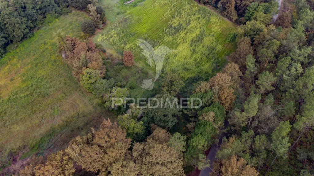 Vue aérienne - Agricultural Land with Construction Viability in Lage