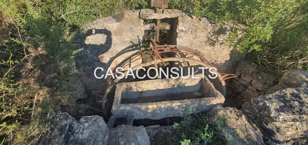 Jardin - Rustic Plots with Cistern in Lucena del Cid
