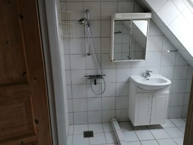 Bagni - Two-Bedroom Apartment in Skive