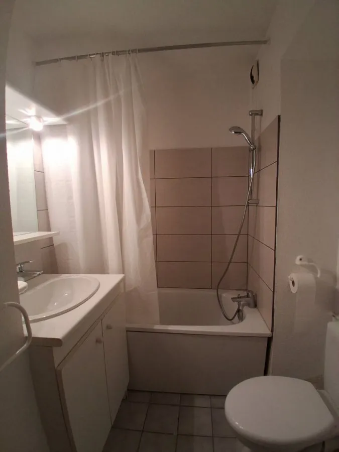 Vannitoad - Studio near Place Carnot in Nancy