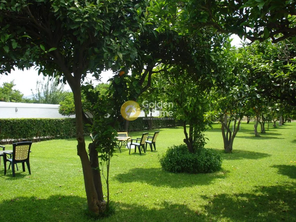 Aed - Apartment with Sea View in Marathónas