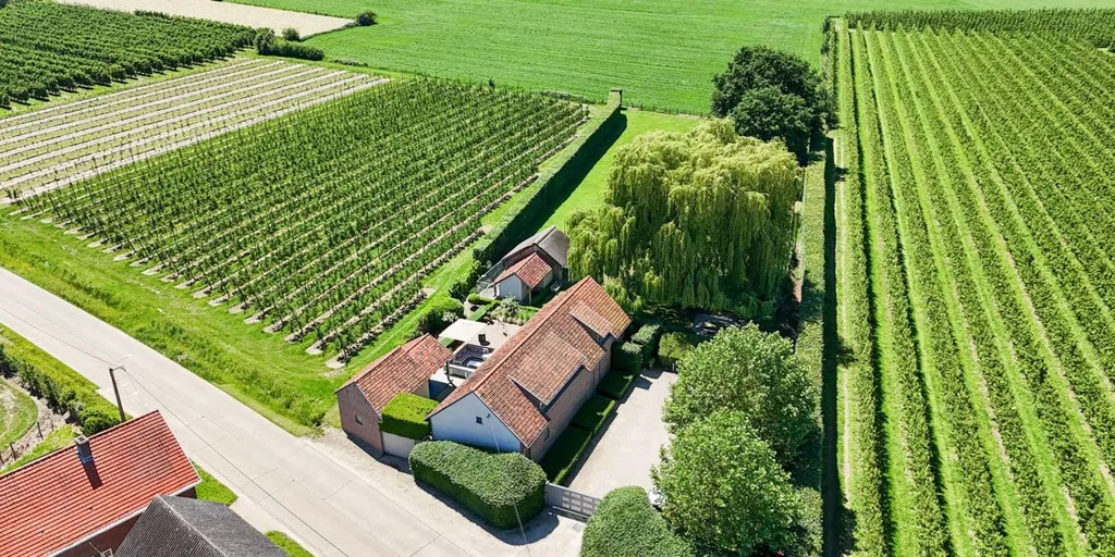 Õhuvaade - Renovated Farmhouse with Garden in Stevoort