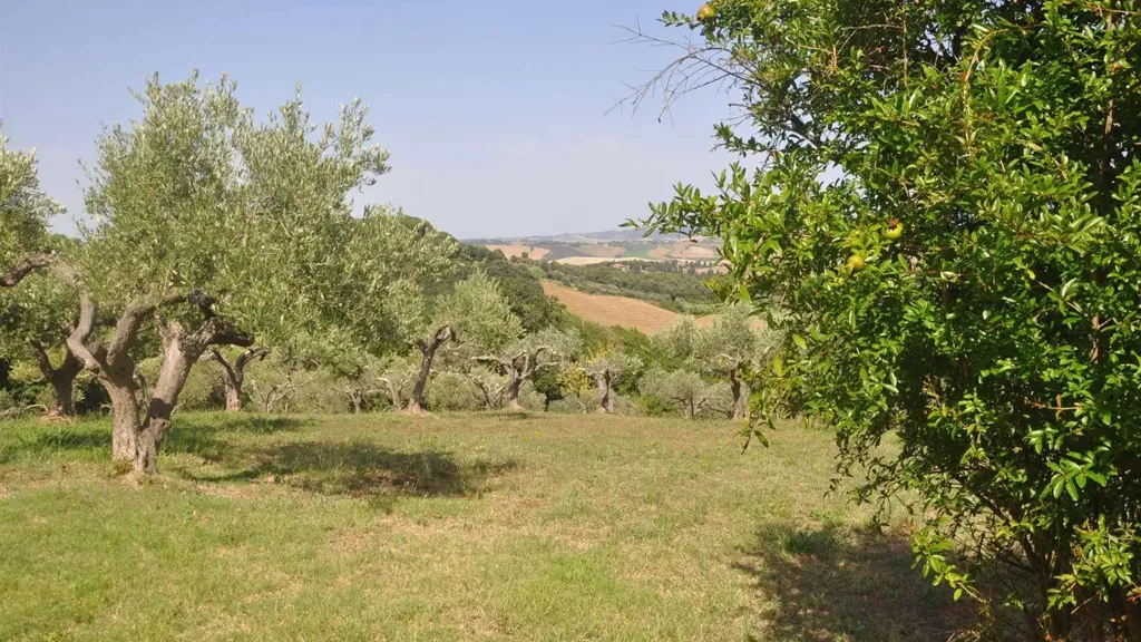 Jardin - Villa with 360° View in Rosignano Marittimo