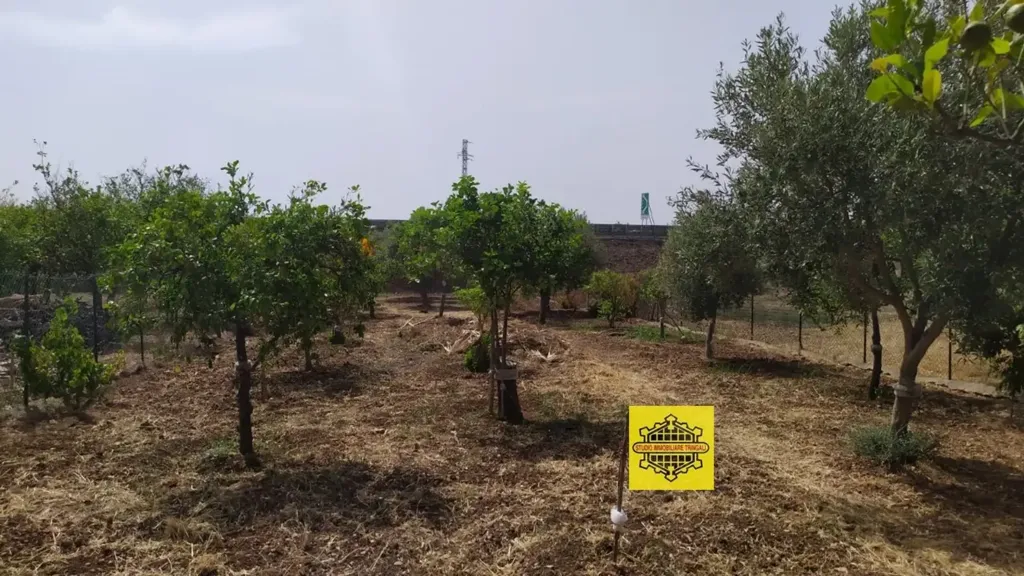 Rustic Property with Lemon Trees in Avola