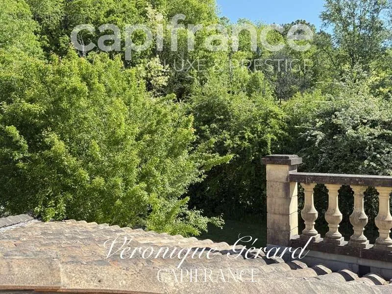 Terrass - Equestrian Property with Longère in Salleboeuf