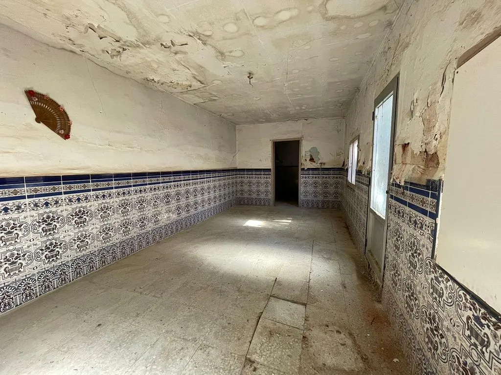 Toad - House with Terrace in Valdepeñas