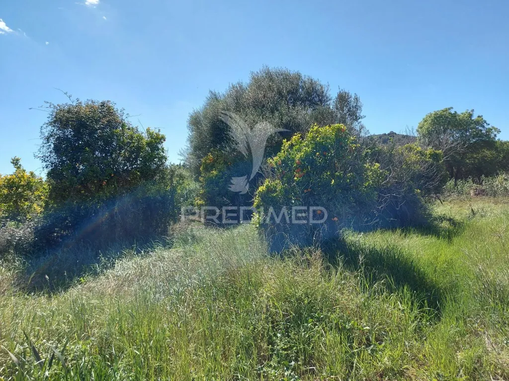 Garden - Agricultural Land with Water Source in Silves