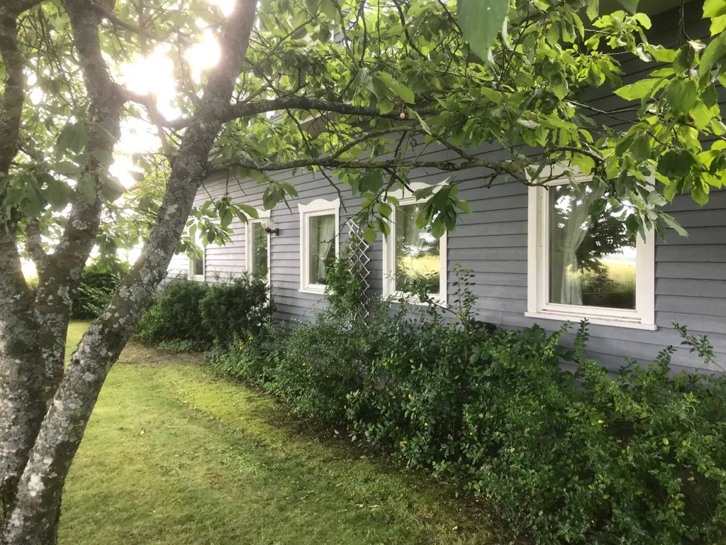Välivaade - Villa with Workshop in Open Landscape
