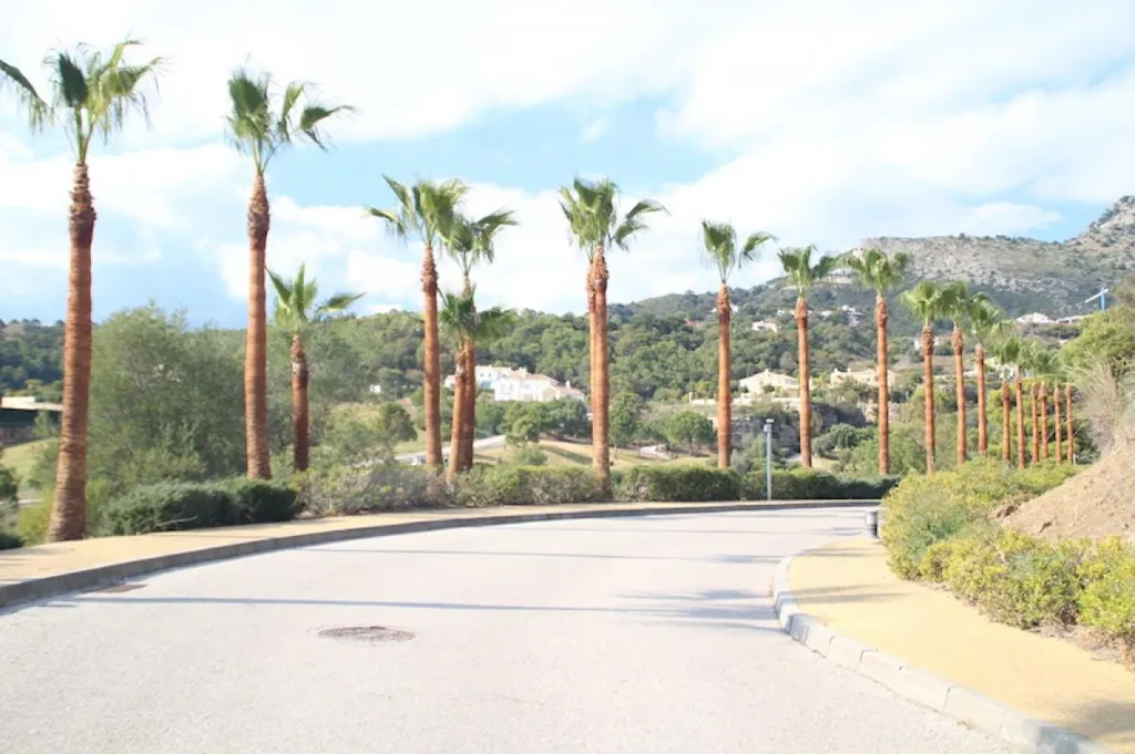 Development Plot with Sea Views in Benahavís