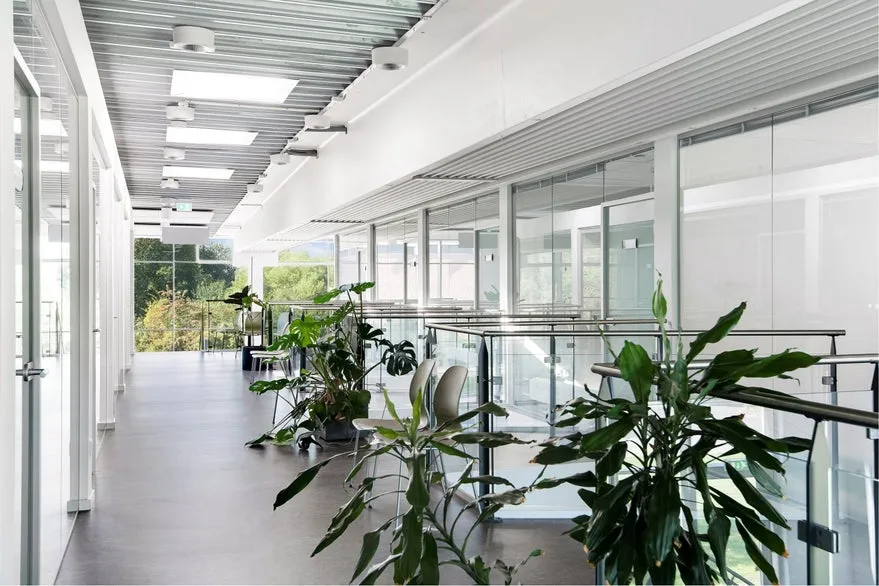 Entrée - Clinic Space with North-facing Facade in Odense
