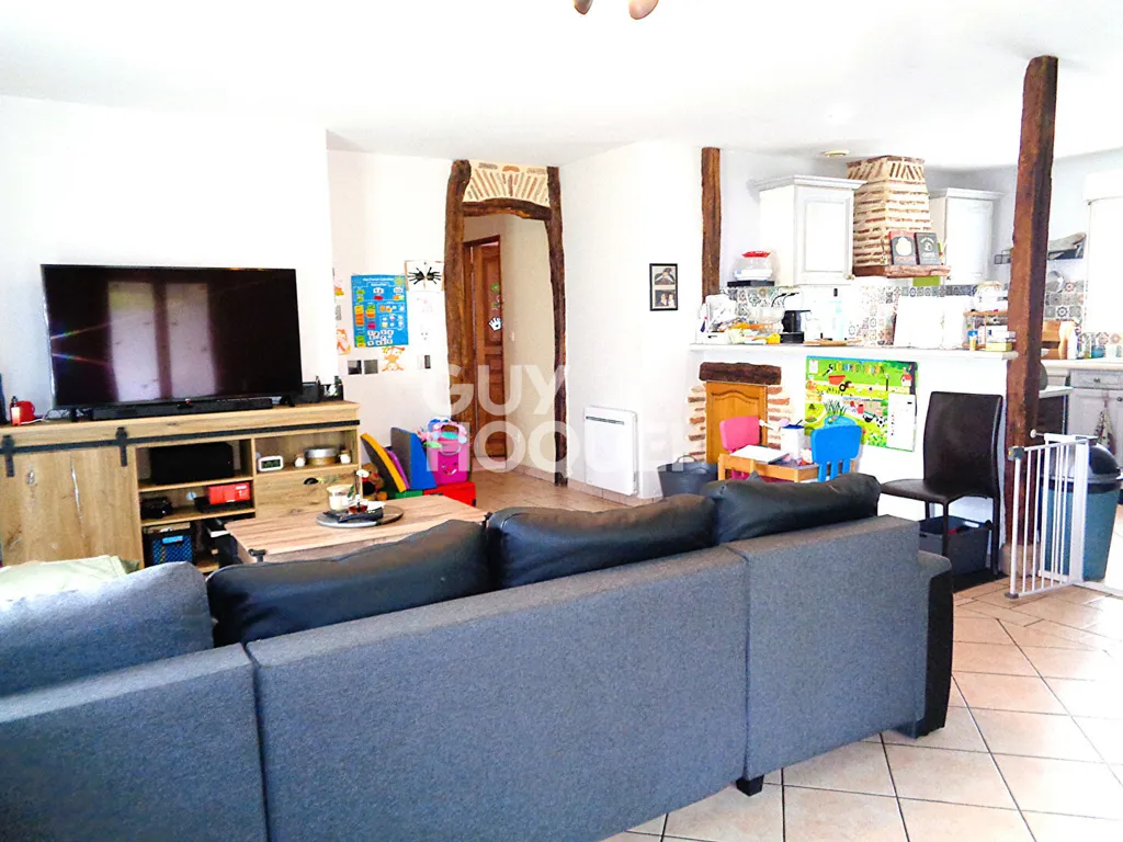 Living Room - Ground Floor House with Solar Panels in Marmande