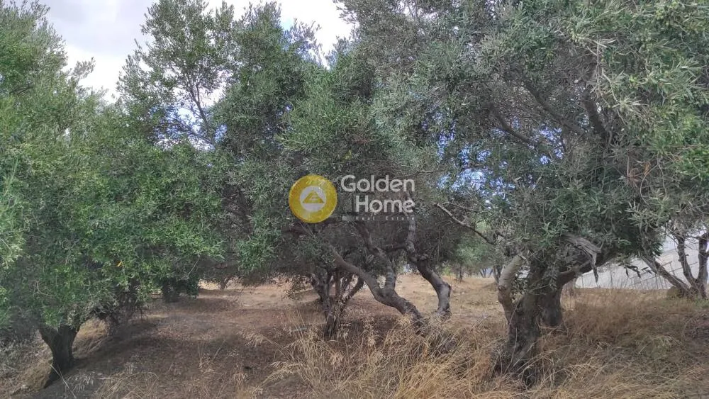 Jardin - Plot with Panoramic Sea View in Agios Vlasis