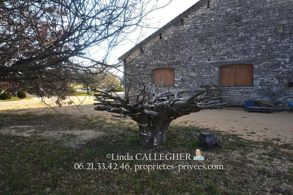 Jardin - Maison de Luxe avec Lac Privé à Barjac