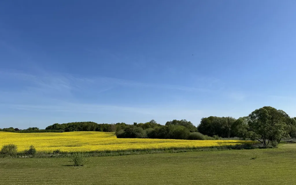 Aed - Year-Round Plot with 5G Coverage in Broby