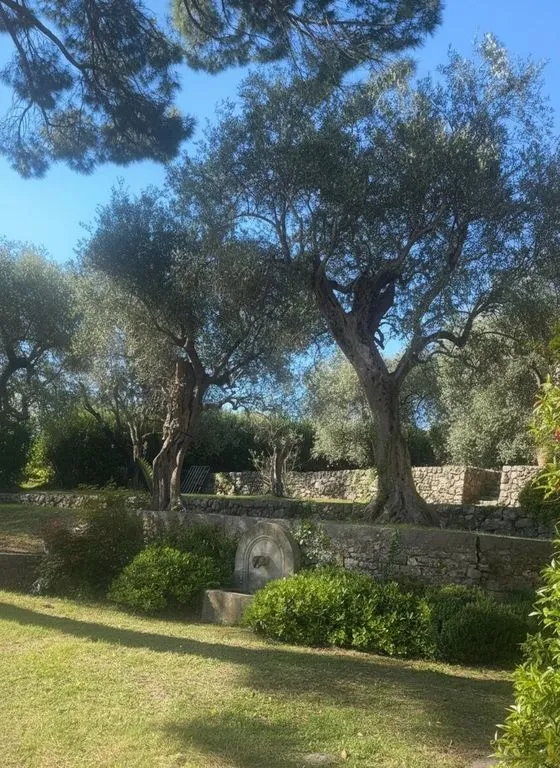 Garden - Provençal House with Pool in Grasse