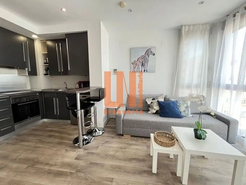 Séjour - Furnished Flat with West View in Salamanca