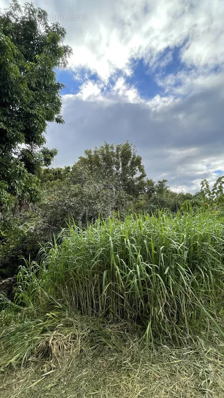 Aed - Buildable Land in La Confiance, Sainte-Marie