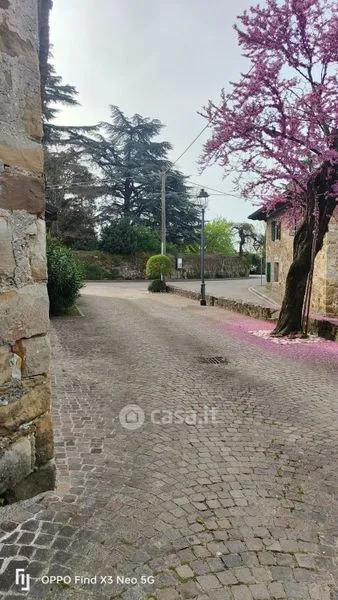 Extérieur - Rustic Stone Cottage in Giassico, Cormons
