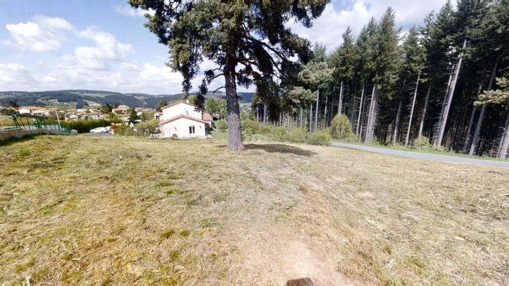 Jardin - Terrain Viabilisé au Calme près de Dunières
