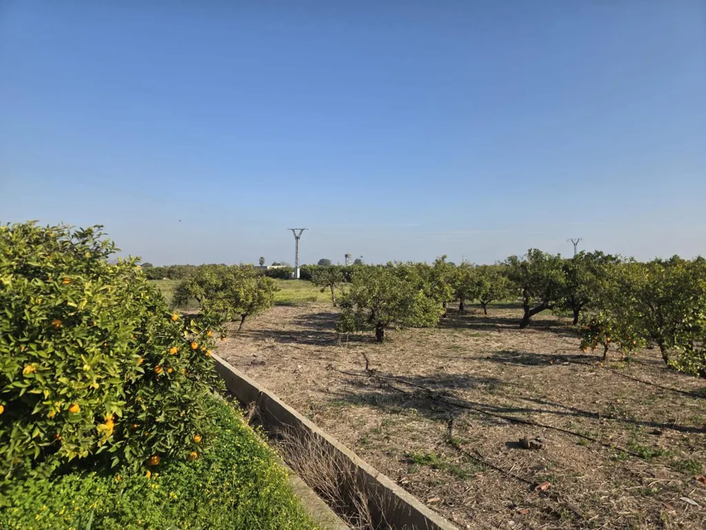 Aed - Flat Plot with Irrigation in Rafelcofer