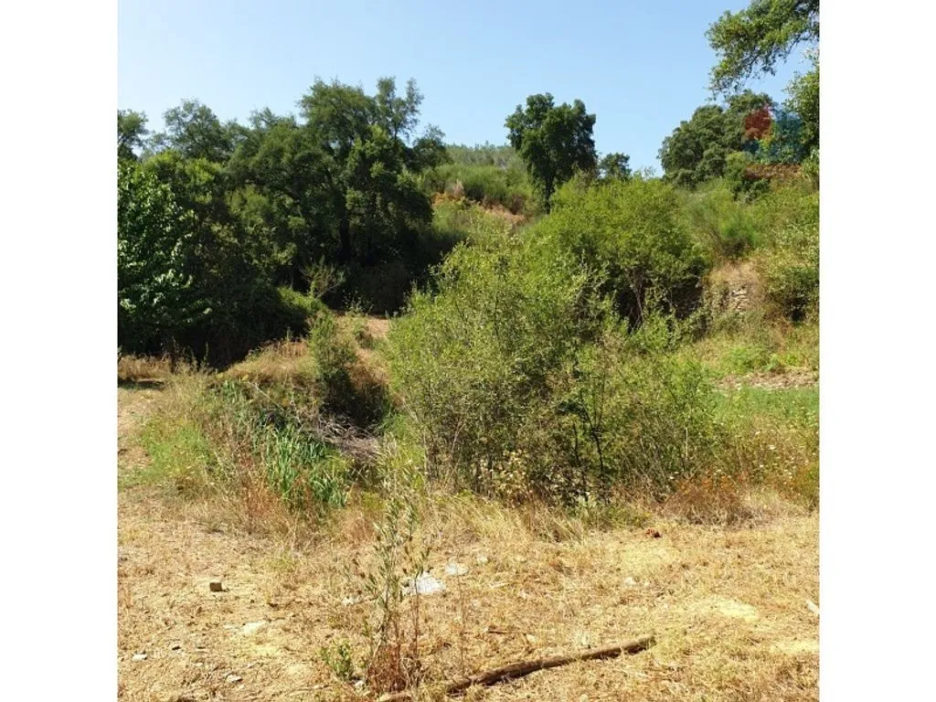 Aed - Luxury House with Olive Grove in Vila Real