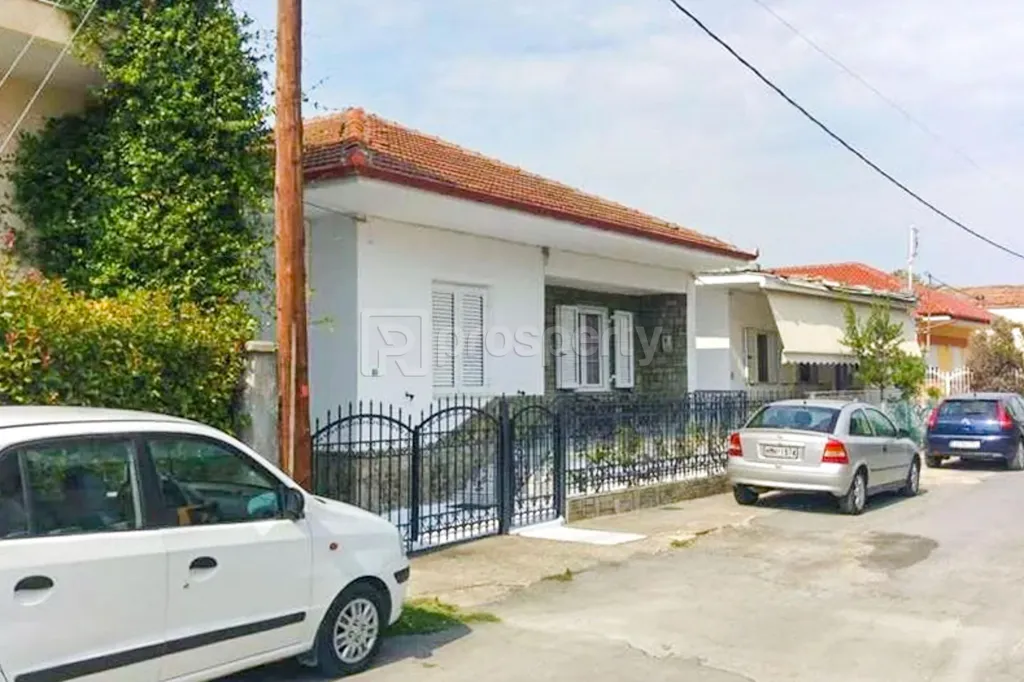 Esterno - Detached House with Garden in Alexandreia