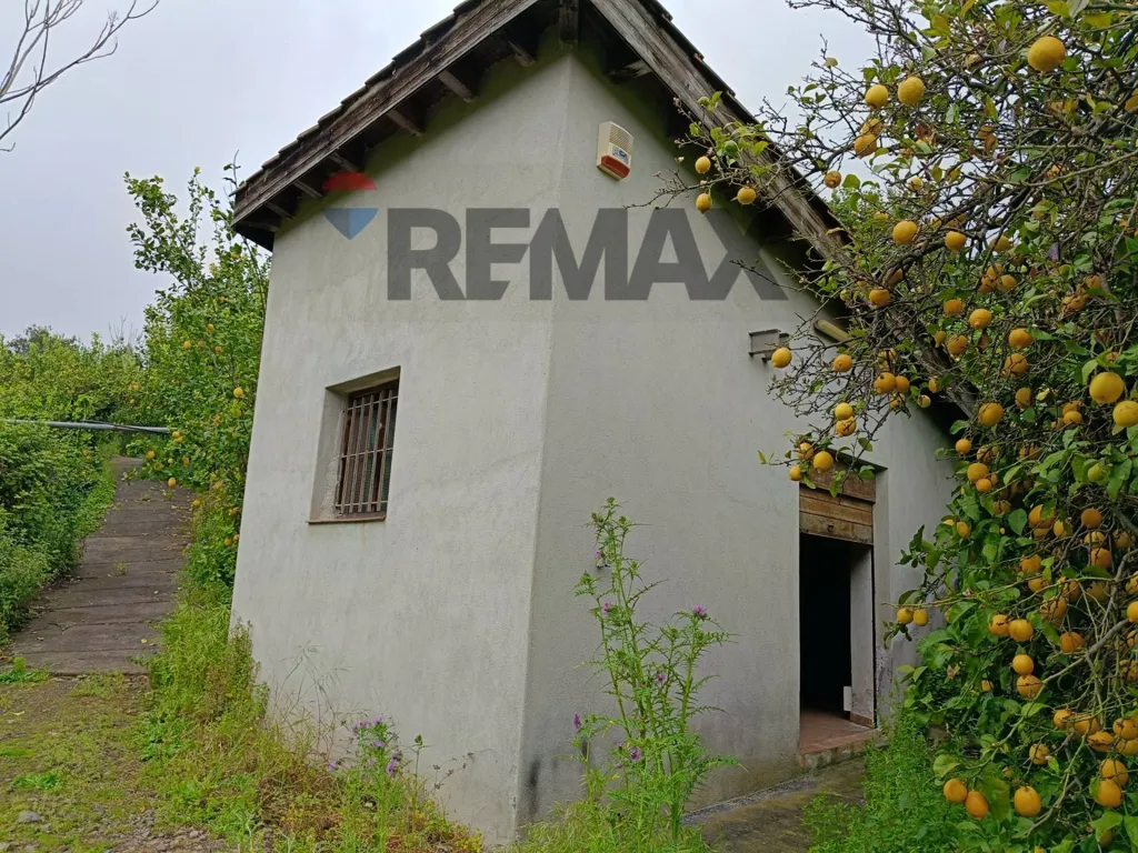 Extérieur - Agricultural Estate with Lemon Grove in Mascali