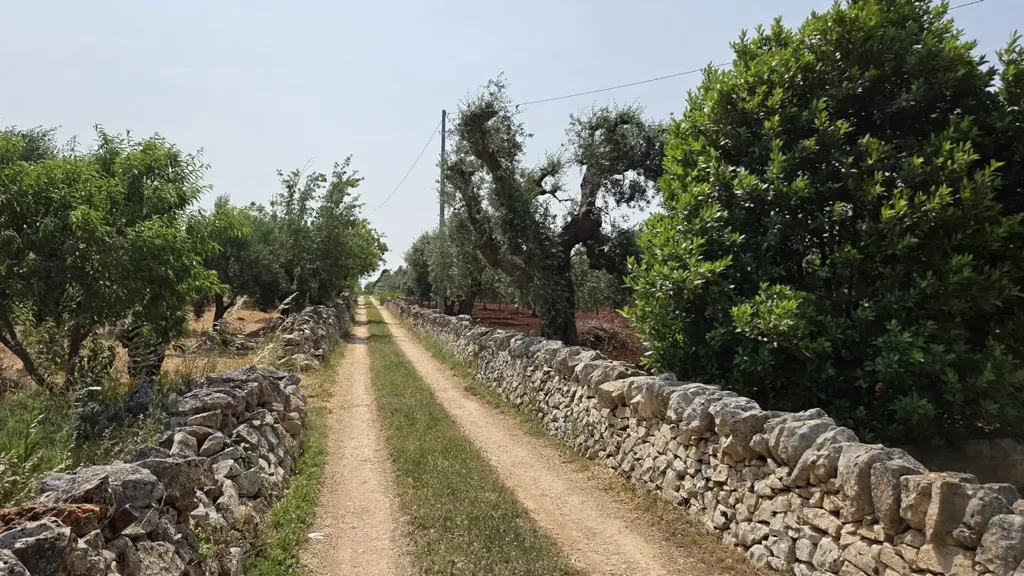 Garden - Trullo Complex for Renovation in Ostuni