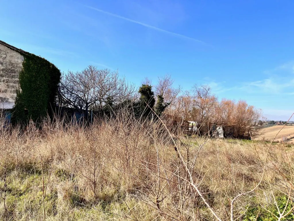 Aed - Rustic Property with Sea View in Montemarciano