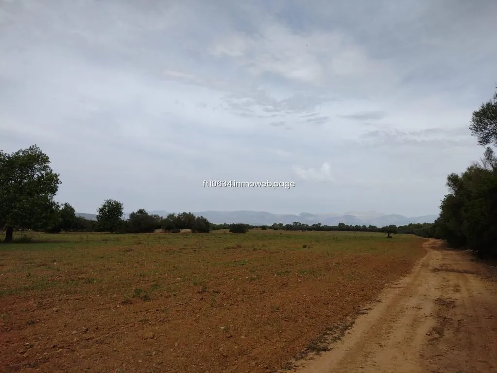 Aed - Luxury Farmhouse with Stone Walls in Algaida