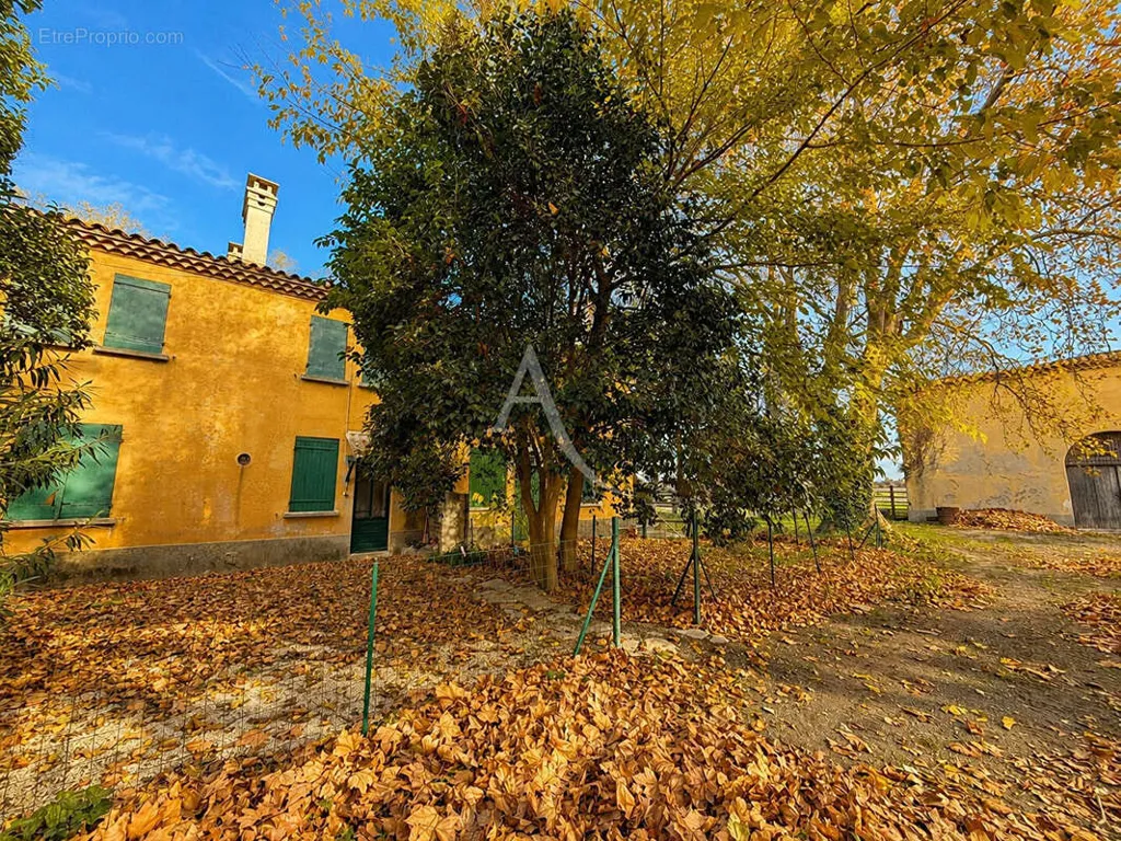 Esterno - Exceptional Mas with Vineyard in Provence