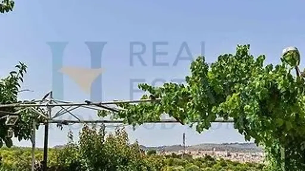 Jardin - Villa with Lemon Grove near Noto